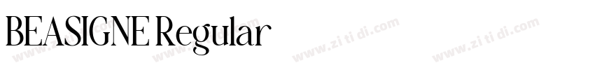 BEASIGNE Regular字体转换